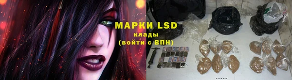 spice Абинск