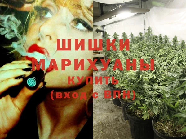 дмт Абаза