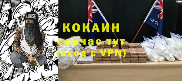 дмт Абаза