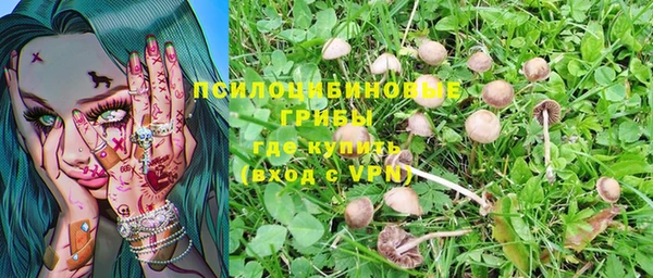 spice Абинск