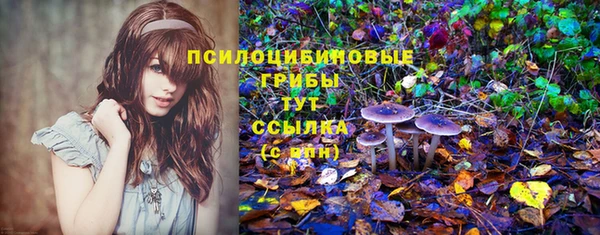 дмт Абаза