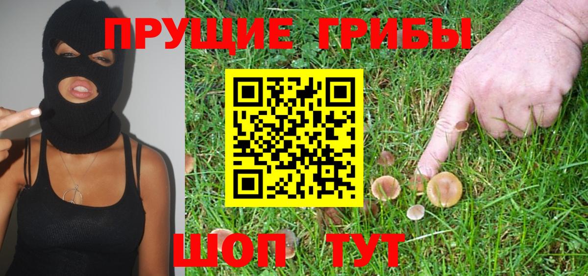 Галлюциногенные грибы Psilocybine cubensis Ангарск