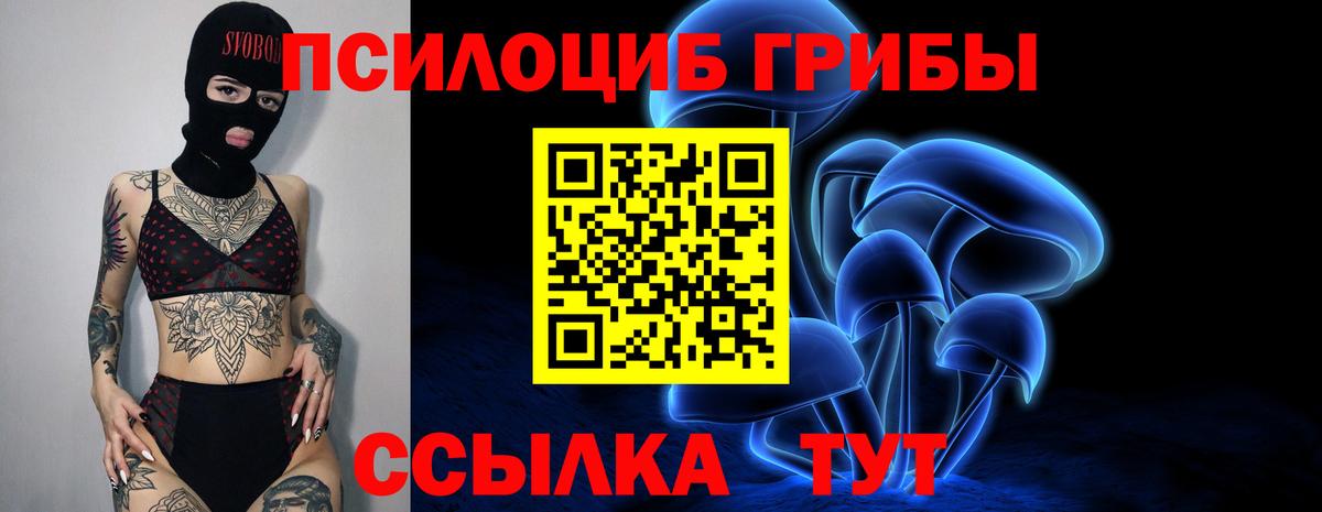 Псилоцибиновые грибы Psilocybe  Ангарск 